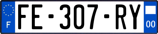 FE-307-RY