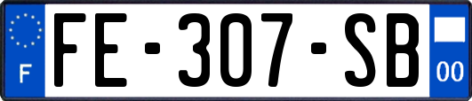 FE-307-SB