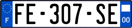 FE-307-SE