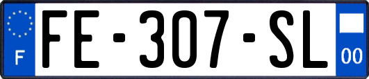 FE-307-SL