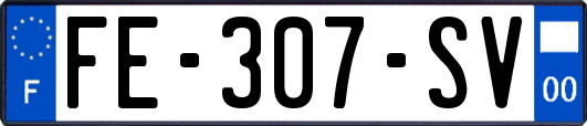 FE-307-SV