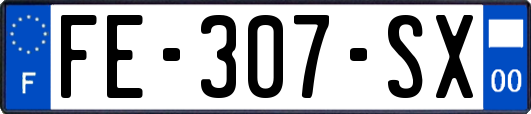 FE-307-SX