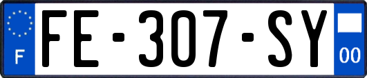 FE-307-SY