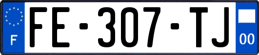 FE-307-TJ