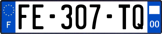 FE-307-TQ