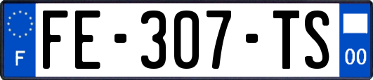 FE-307-TS