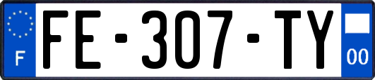 FE-307-TY