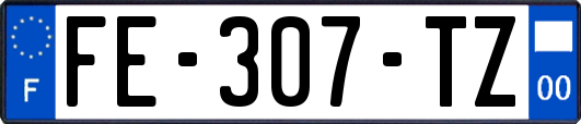 FE-307-TZ