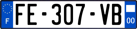 FE-307-VB