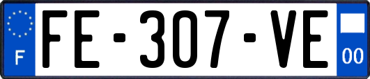FE-307-VE