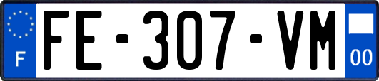 FE-307-VM