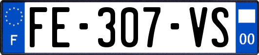 FE-307-VS