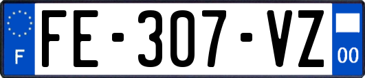 FE-307-VZ
