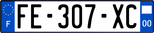 FE-307-XC