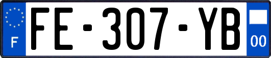 FE-307-YB