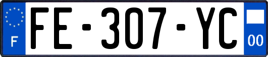 FE-307-YC