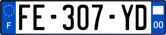 FE-307-YD