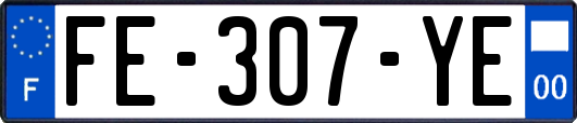 FE-307-YE