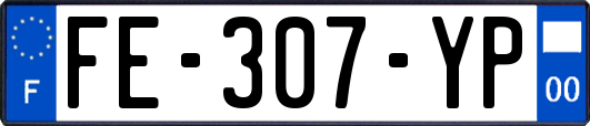 FE-307-YP