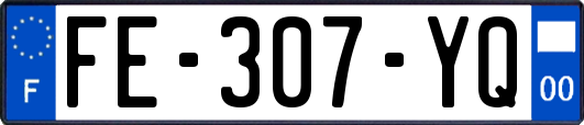 FE-307-YQ