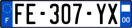 FE-307-YX