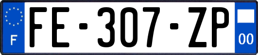 FE-307-ZP