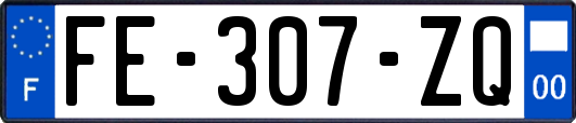 FE-307-ZQ