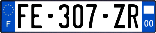 FE-307-ZR