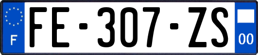 FE-307-ZS