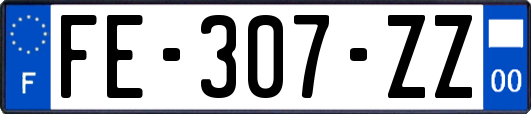 FE-307-ZZ