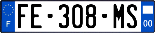 FE-308-MS