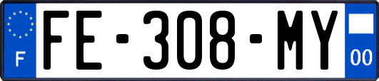 FE-308-MY