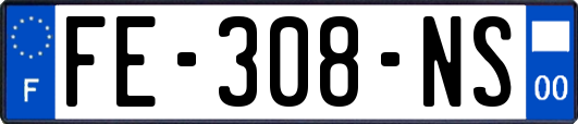 FE-308-NS