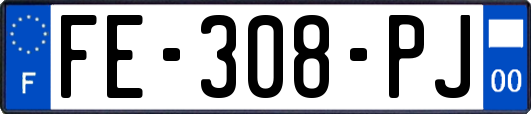 FE-308-PJ