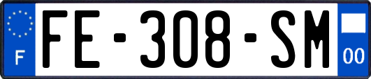 FE-308-SM
