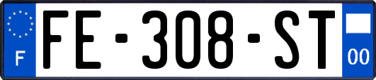FE-308-ST