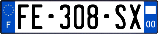 FE-308-SX