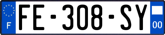 FE-308-SY