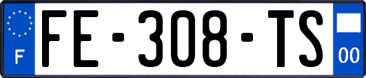 FE-308-TS