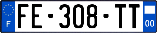 FE-308-TT