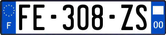 FE-308-ZS