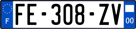 FE-308-ZV