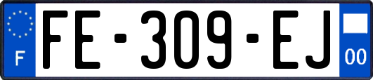 FE-309-EJ