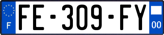 FE-309-FY