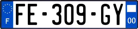 FE-309-GY