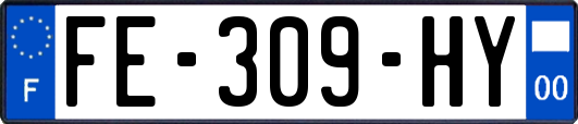 FE-309-HY