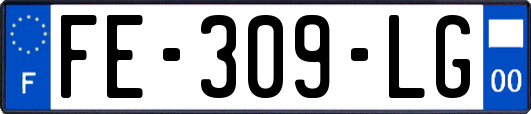 FE-309-LG