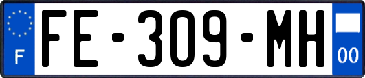 FE-309-MH