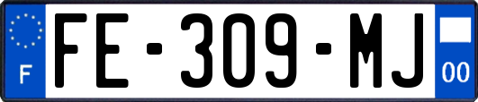 FE-309-MJ