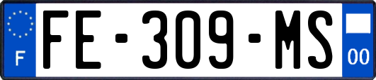 FE-309-MS